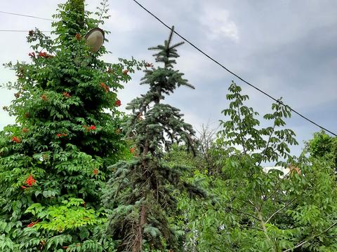 будинок за адресою Центральна