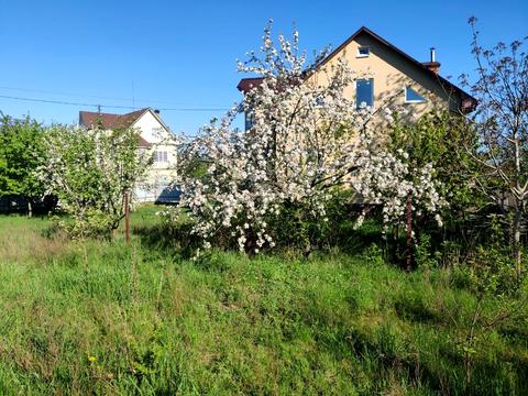 дом по адресу шкільна