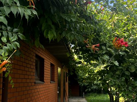 дом по адресу Соборна, 26