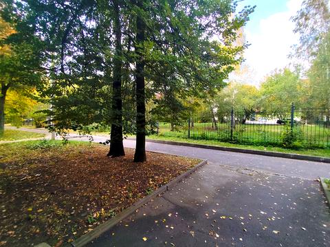 квартира за адресою Олександра Олеся вул., 15