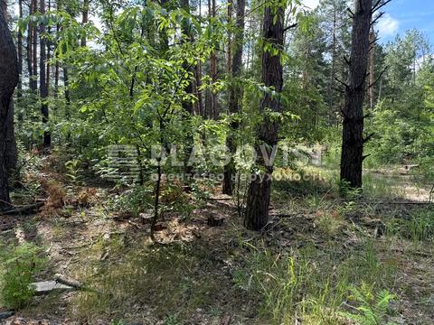 ділянка за адресою Броварський просп.
