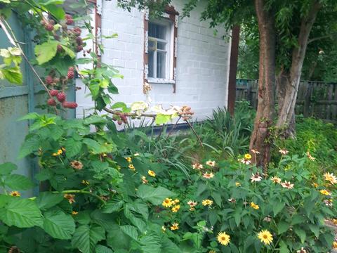 дом по адресу с. Семеновка, Ковпака, 26