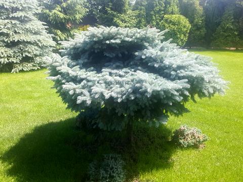 будинок за адресою с. Вишеньки, Озерна