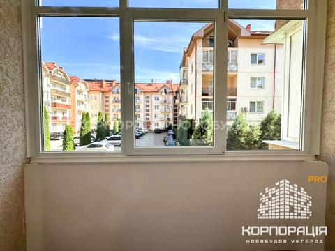 квартира по адресу Ужгород, Хіри, 1