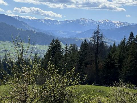 участок по адресу пгт. Верховина, присілок Бречник