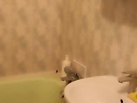 квартира за адресою Оноре де Бальзака вул., 61