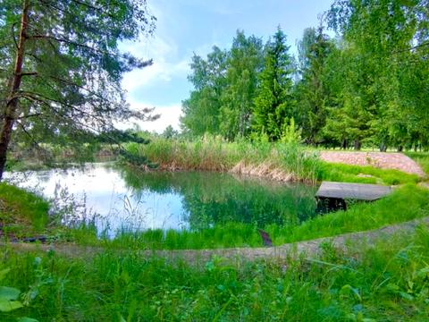 ділянка за адресою Центральна вул.