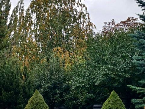 комерційна за адресою Лисогірська вул., 6