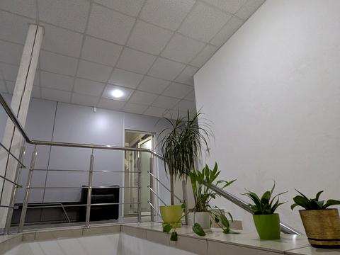 комерційна за адресою Тринітарська, 11