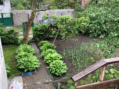 дом по адресу с. Рожны, Южная, 3