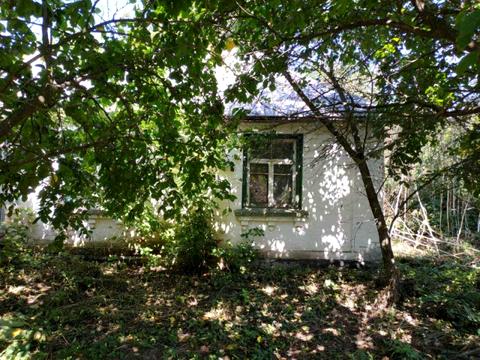 участок по адресу с. Рожки, вул.Центральна 31