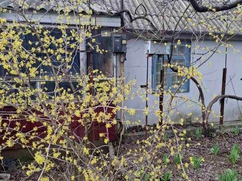 будинок за адресою с-ще. Світле, вулиця Хвойна