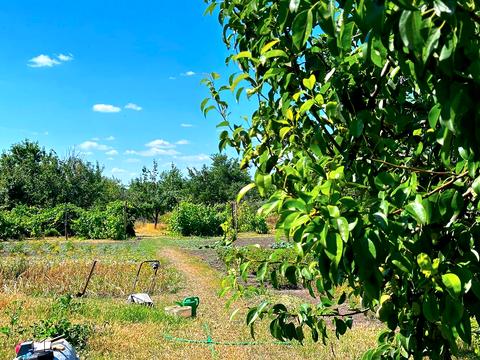 будинок за адресою Підгородне, Низова