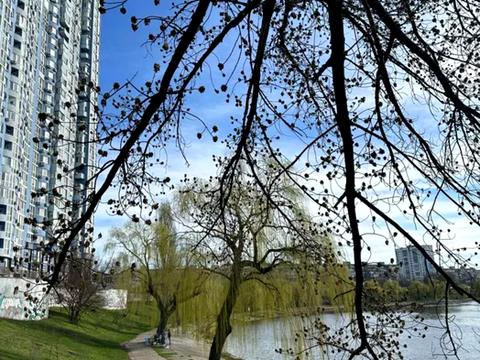 комерційна за адресою Соборності просп. (Возз'єднання), 30
