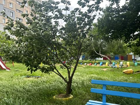 квартира по адресу Сергея Зулинского ул. (Тарногродського), 49
