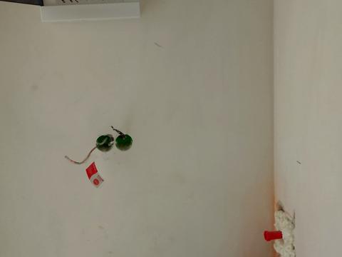 будинок за адресою Романа Шухевича вул.