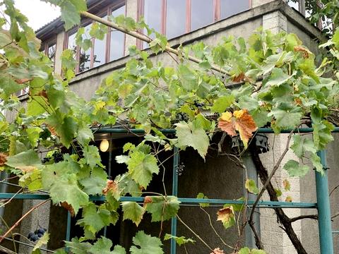 будинок за адресою 1я линия