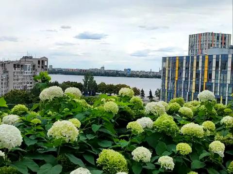 квартира за адресою Володимира Вернадського вул. (Дзержинського), 35-Н