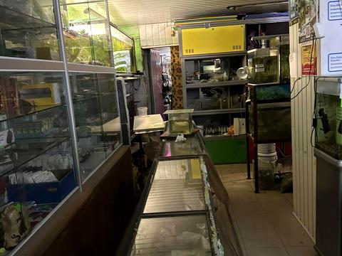 комерційна за адресою Гетьмана Павла Полуботка вул. (Попудренка), 46/2