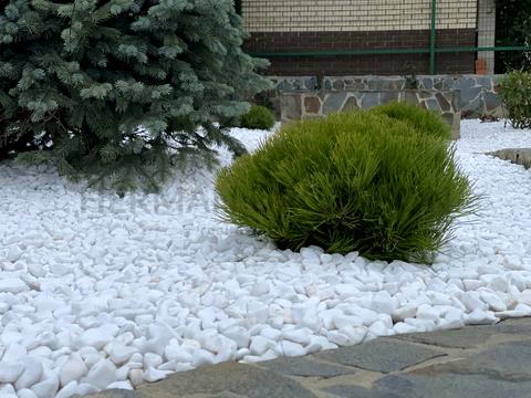квартира по адресу Ужгород, Кавказская ул., 44