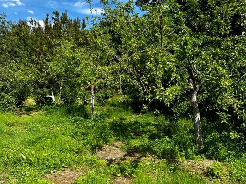будинок за адресою Центральний пров., 8