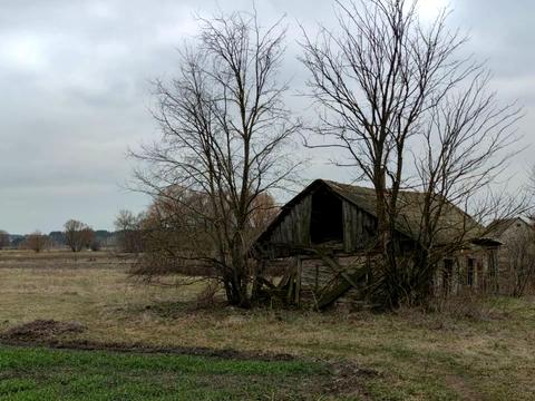 ділянка за адресою Лісова