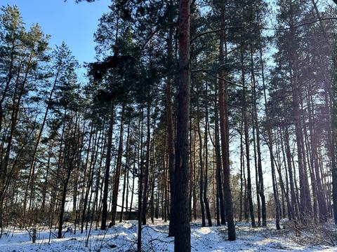 ділянка за адресою с. Піщанка, Садова