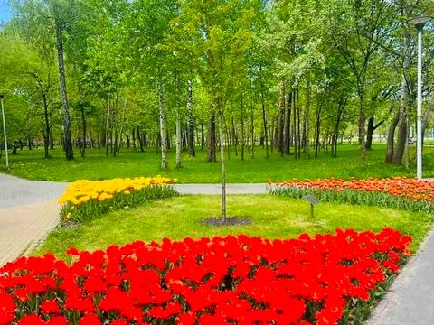 квартира по адресу Воскресенская ул., 14-Д