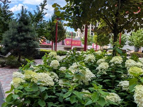 квартира за адресою Університетська вул., 1л