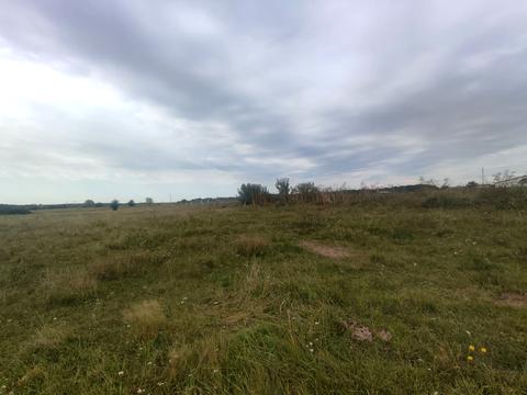 ділянка за адресою с. Бохоники, Яблунева