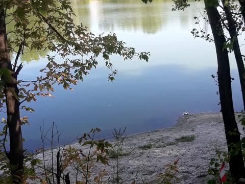 квартира по адресу Левка Лукьяненко ул. (Маршала Тимошенко), 2-М