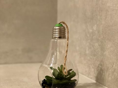 квартира по адресу Богдановская ул., 7-Б