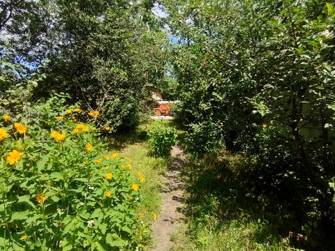 ділянка за адресою Висока вул., 7