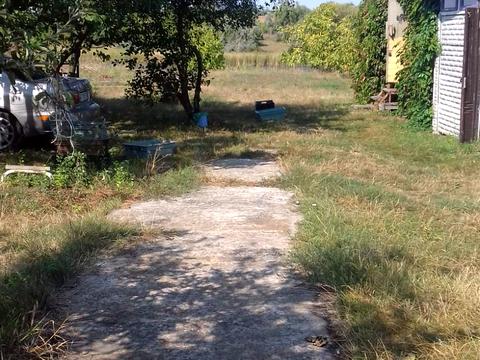 ділянка за адресою Вільне