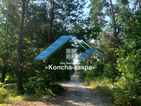 ділянка за адресою смт. Козин, 
