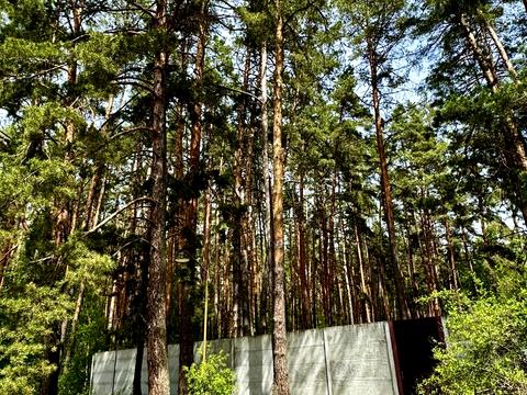 будинок за адресою Зарічна