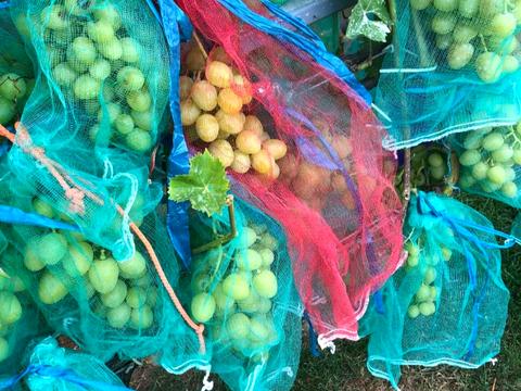 дом по адресу Героев Днепра ул.