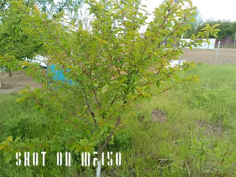 ділянка за адресою Надажинська