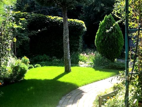 будинок за адресою А.Невского, 38