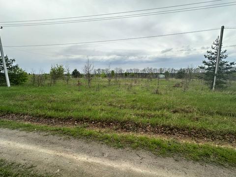 ділянка за адресою с. Перевіз, 