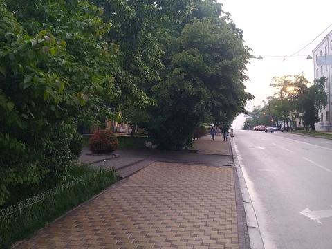 комерційна за адресою Гетьмана Павла Скоропадського вул. (Льва Толстого), 15