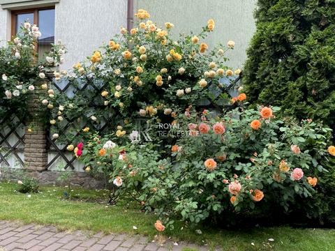 дом по адресу Шевченко ул.