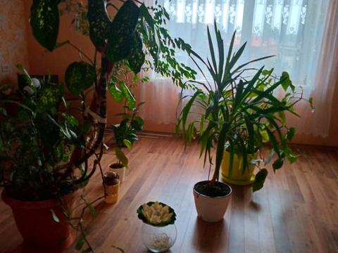 будинок за адресою Західна вул.