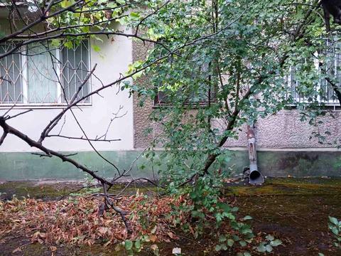 квартира по адресу Солнечная ул., 16