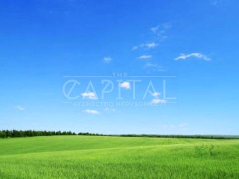 комерційна за адресою Петра Радченка вул., 25