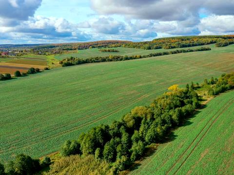 ділянка за адресою Новий Розділ, урочище Фецаковка