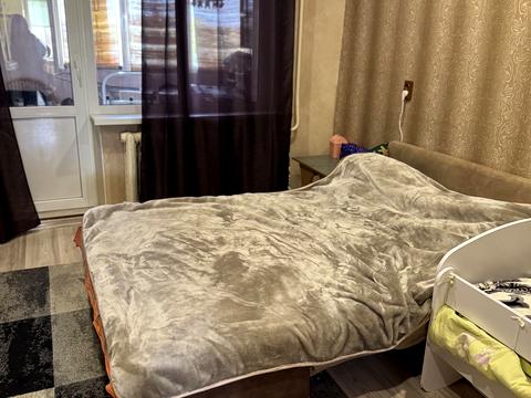 квартира по адресу Ильфа и Петрова ул., 31