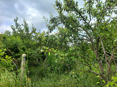 участок по адресу Зелений Хутір, 24