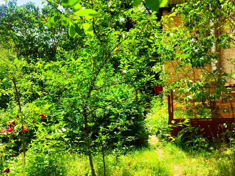 ділянка за адресою Висока вул., 7