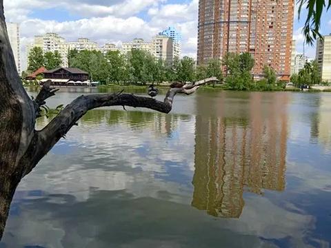 квартира по адресу Драгоманова ул., 1-А